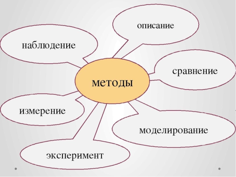 Методы научного познания в биологии схема