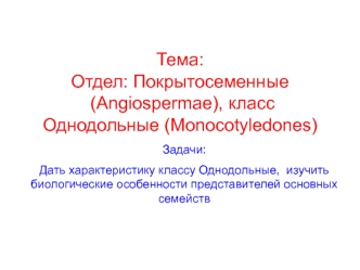 Отдел: Покрытосеменные (Angiospermae), класс Однодольные (Monocotyledones)