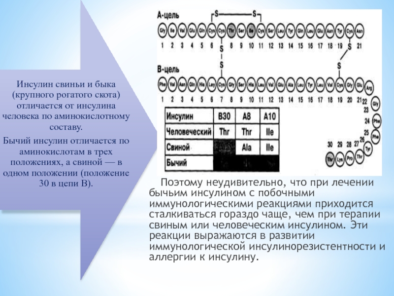 Презентация на тему инсулин