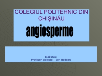 Caracteristică succintă a angiospermelor