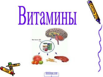 Витамины. Классификация витаминов