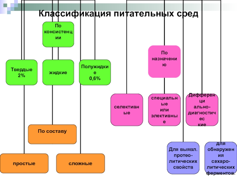 Питательные среды схема