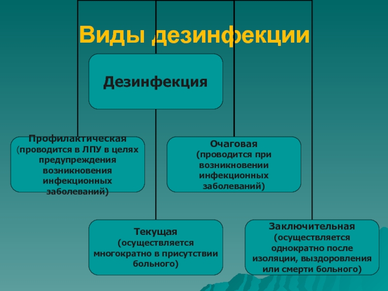 Дезинфекция виды