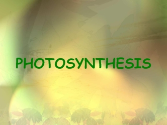 Photosynthesis