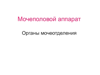 Мочеполовой аппарат. Органы мочеотделения. (Лекция 5)