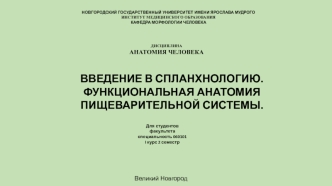 Введение в спланхнологию. Функциональная анатомия пищеварительной системы