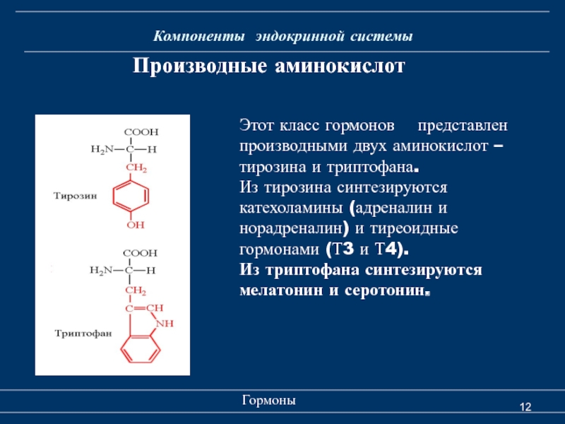 Контрольная работа по теме Гормоны - производные аминокислот. Катехоламины