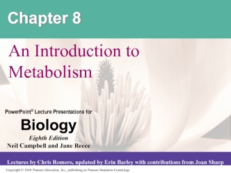 An Introduction to Metabolism