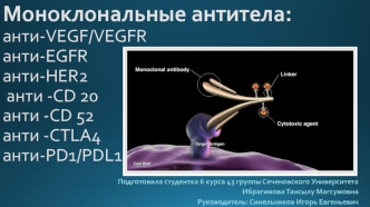 Моноклональные антитела