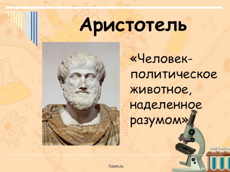 Аристотель«Человек- политическое животное, наделенное разумом»