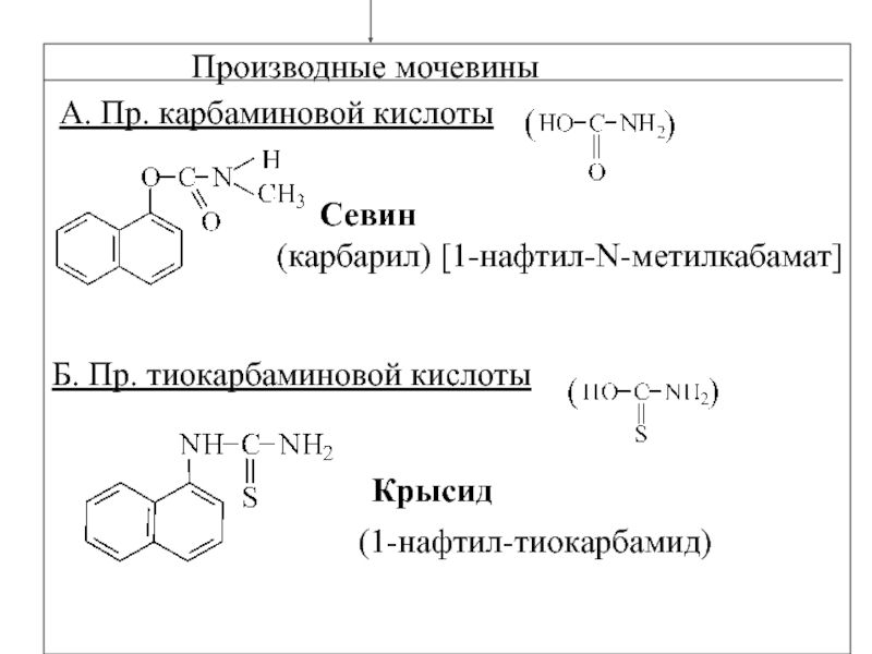 Мочевина кислота