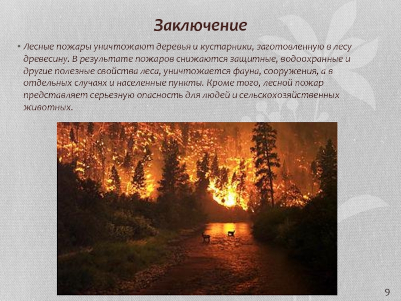 Лесные пожары решения. Заключение Лесные пожары. Лесные пожары вывод. Вывод по лесным пожарам. Пути решения лесных пожаров.