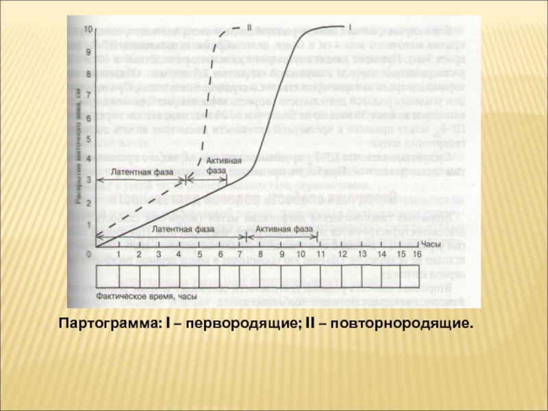 Первый период активная фаза