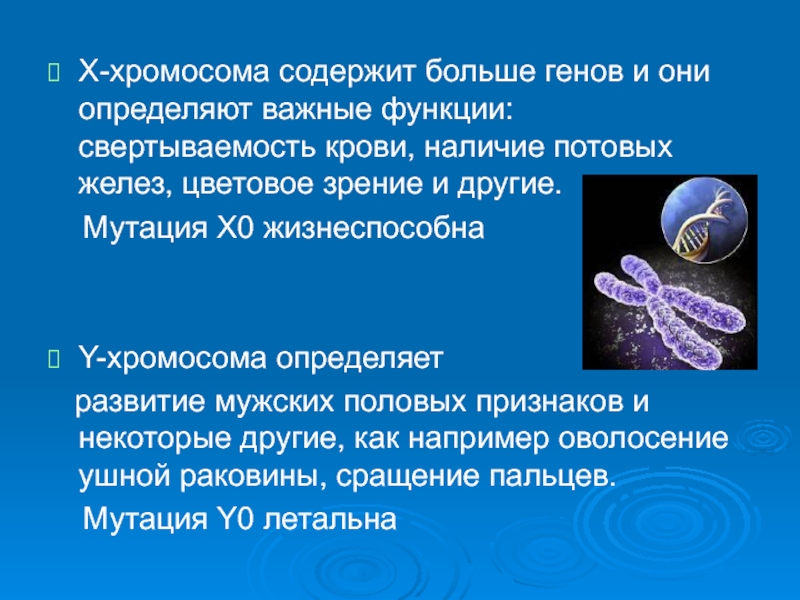 Презентация на тему генетика пола. Что содержит хромосомы. Биология 10 кл генетика пола. Х И У хромосомы.