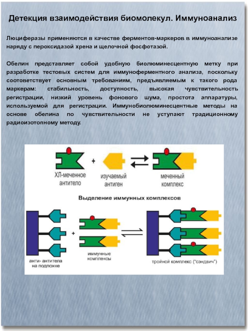 Детекция. Методы иммуноанализа. Маркерные ферменты. Методы изучения биополимеров. Пероксидаза используется в качестве метки в методе.