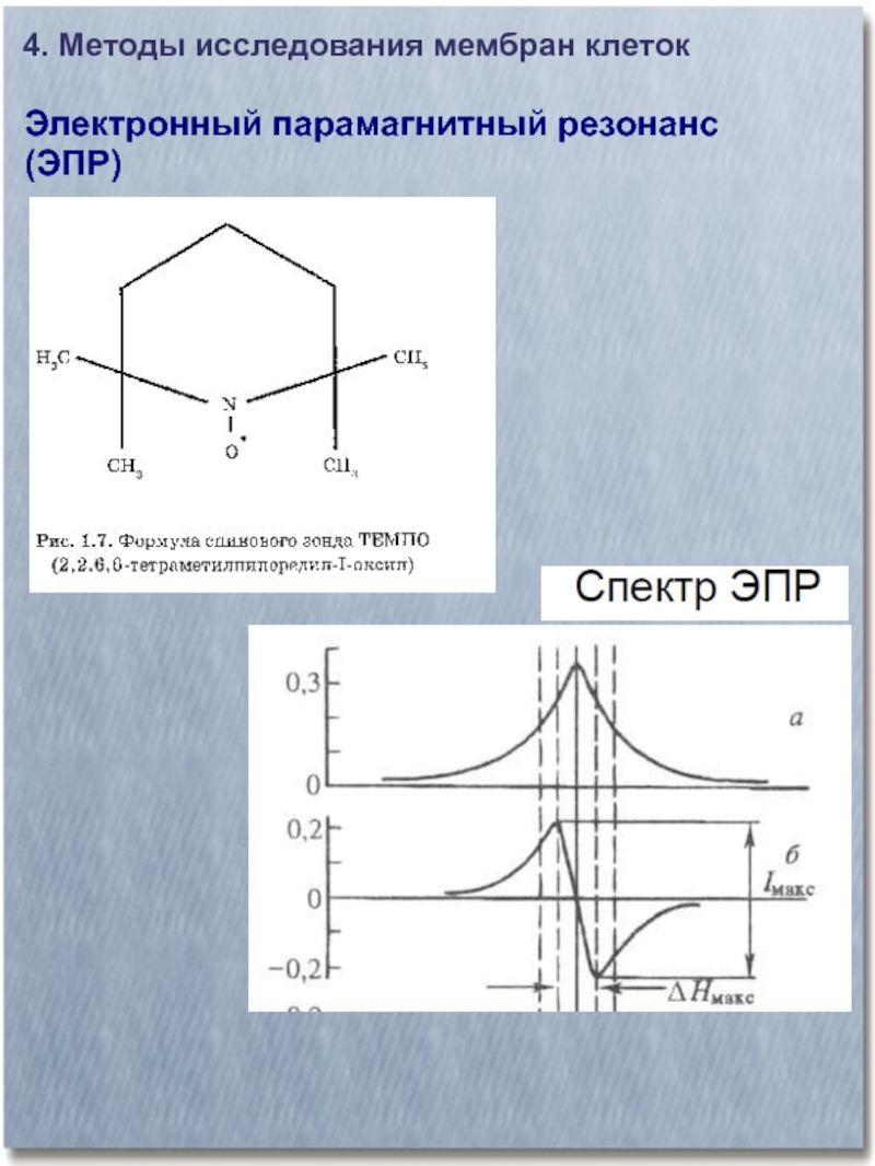 Электронно парамагнитный резонанс презентация