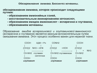 Обезвреживание аммиака. Биосинтез мочевины