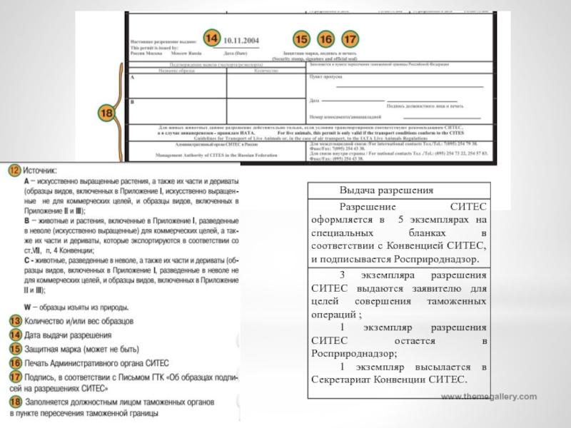 Контрольная работа по теме Порядок перемещения через таможенную границу Таможенного союза диких животных и дикорастущих растений, находящихся под угрозой исчезновения