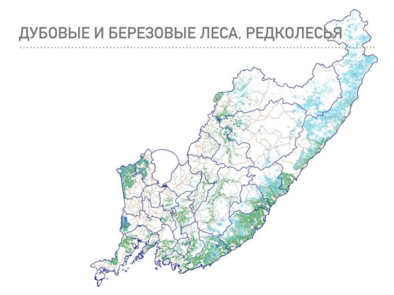 Уссурийская тайга почвы. Уссурийская Тайга на карте. Где находится Уссурийская Тайга. Уссурийская Тайга на карте России. Границы Уссурийской тайги на карте.