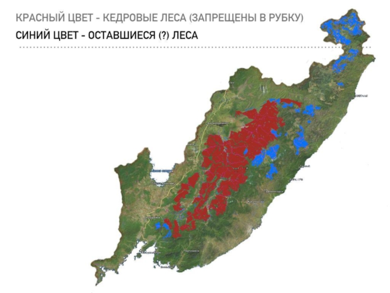 Уссурийская тайга карта