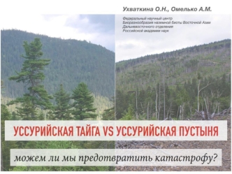 Forest_Ukhvatkina_Primorye