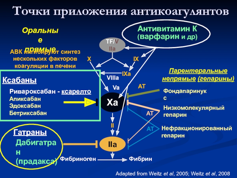 Апиксабан при тэла схема