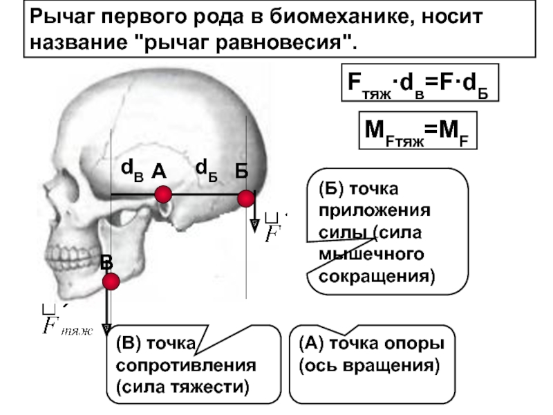 Рычаг 1 рода фото