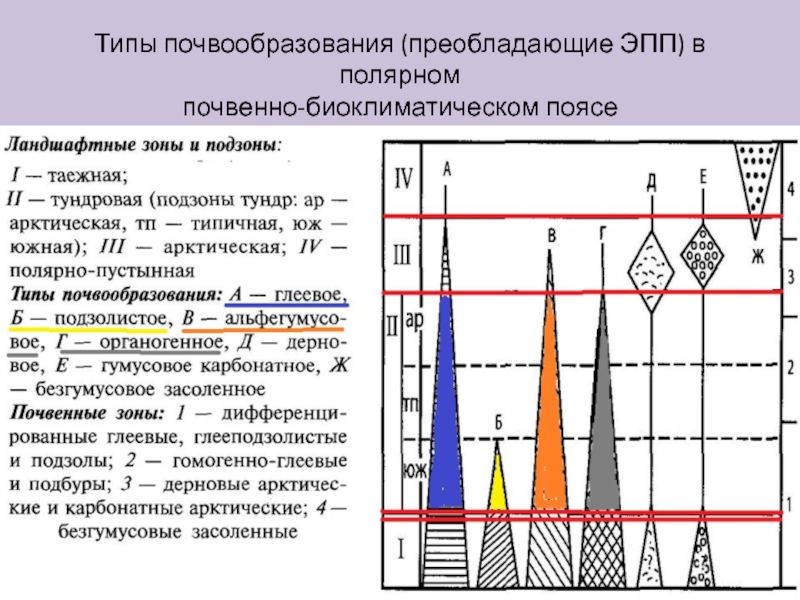 Типы зон. Типы почвообразования. Биоклиматическая зональность почв. Полярный почвенный пояс. Полярный почвенно биоклиматический пояс.