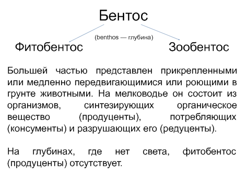 Зоопланктон консумент. Зоопланктон это продуцент. Зоопланктон это консумент. Бентос презентация. Фитобентос.