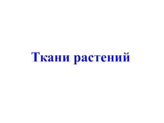 Ткани растений