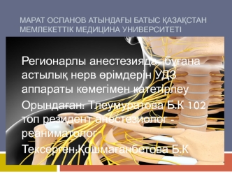 Регионарлы анестезияда бұғана астылық нерв өрімдерін УДЗ аппараты көмегімен катетірлеу