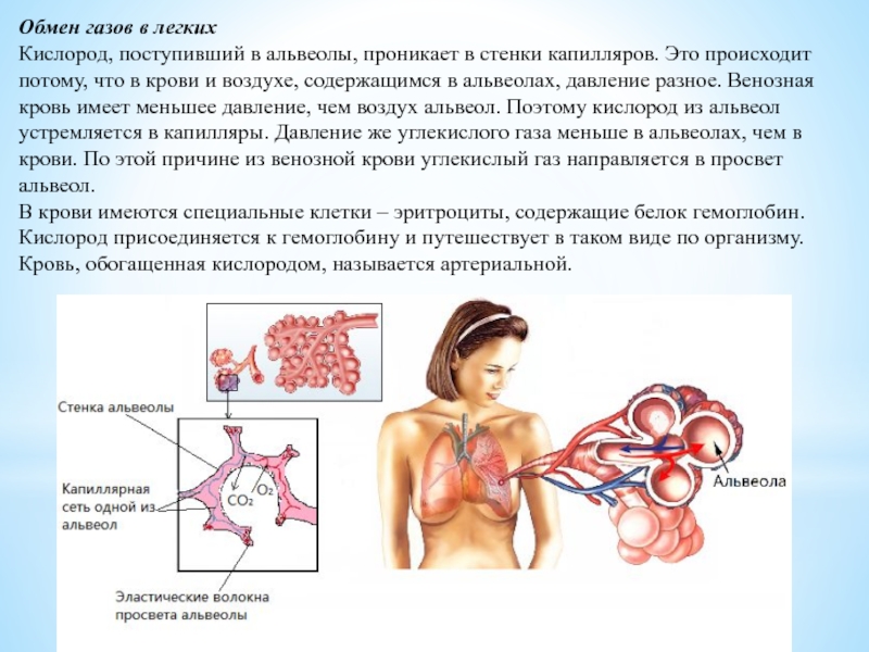 Кислород поступает