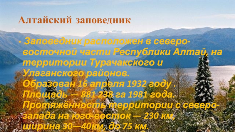 Алтайский заповедник презентация. Правила Алтайского заповедника. Открытие Алтайского заповедника 1932 год. Алтайский заповедник презентация Виктория Валерьевна.