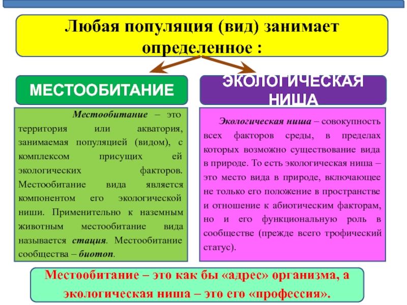 Местообитание и экологические ниши презентация 11 класс