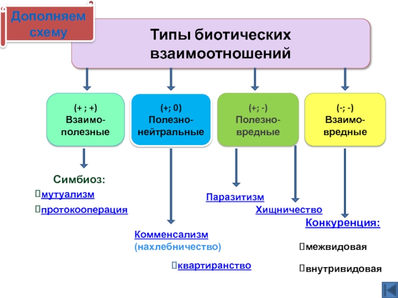 Какая форма биотических взаимоотношений изображена на рисунке