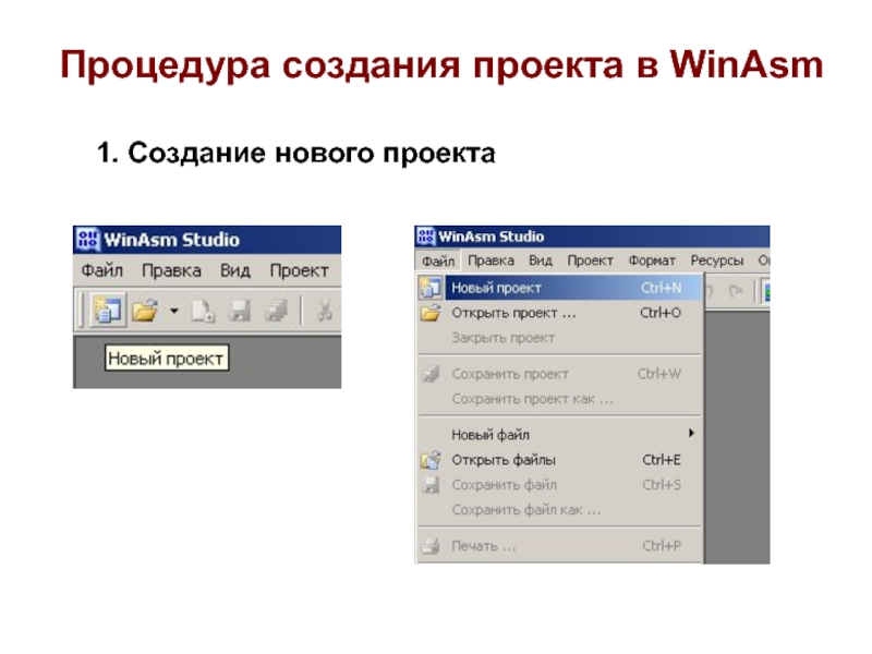 Создать процедуру. Программа Studio презентацию. Assembler расширение файла. WINASM Studio.