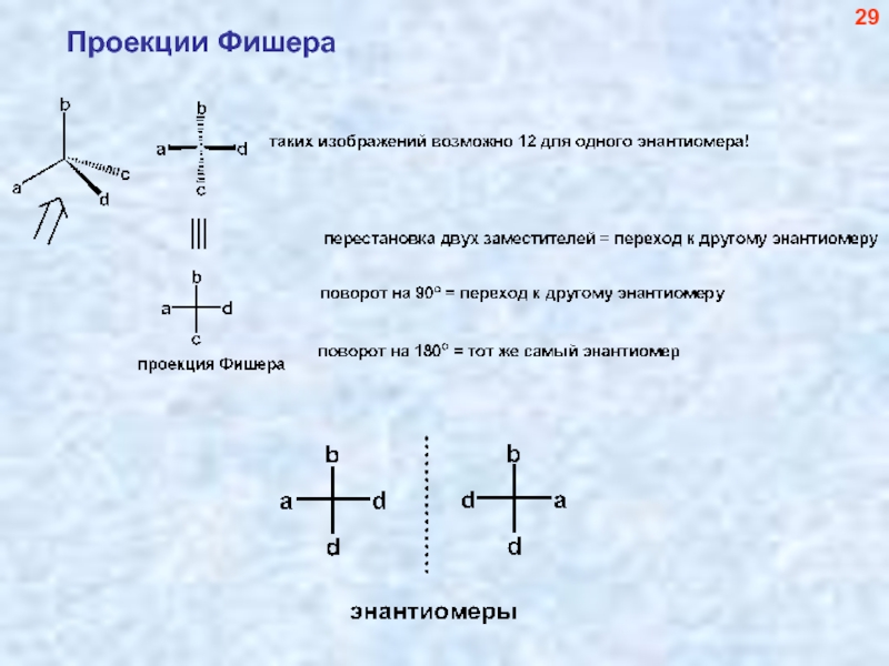 Проекция фишера