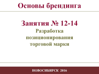 Разработка позиционирования торговой марки