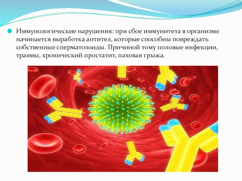 В организме человека антитела вырабатывают. Когда в организм попадает слишком много. Где происходит выработка антител к сперматозоидам. Сбой иммунитета. Когда в организм попадает слишком много дел он вырабатывает антитела.