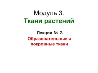 Образовательные и покровные ткани растений