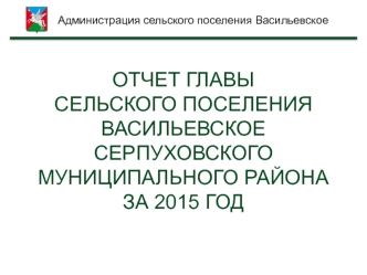 Отчет главы сельского поселения Васильевское