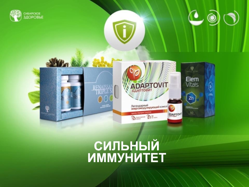 Продукция siberian. Сибирское здоровье Siberian Wellness. Siberian Wellness продукция здоровья. Сибирское здоровье для иммунитета. Продукция компании сибериан велнес.