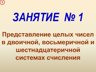 Представление целых чисел в двоичной, восьмеричной и шестнадцатеричной системах счисления