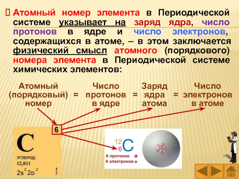 Чему равен заряд ядра атома z модель которого изображена на рисунке