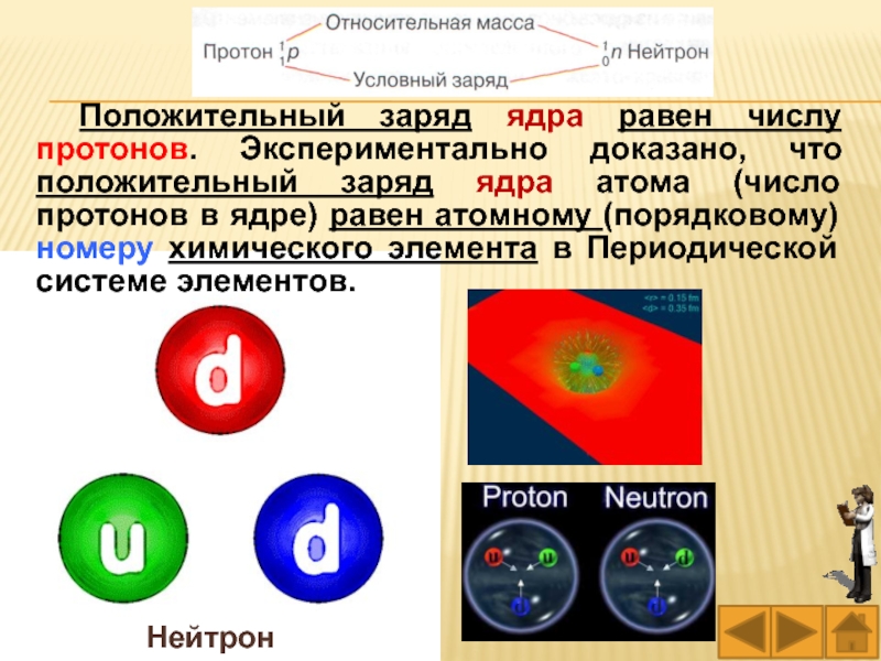 Ядро атома имеет положительный заряд