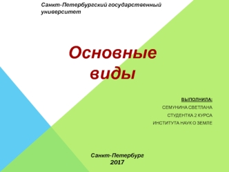 Электронный бизнес. Основные виды