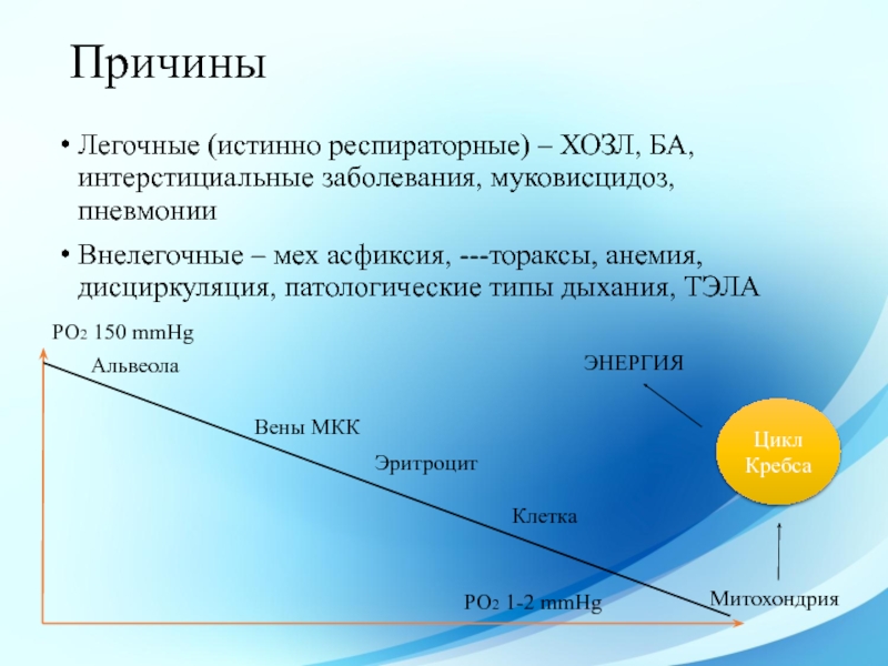 Презентация одн у детей