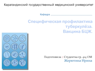 Специфическая профилактика туберкулёза. Вакцина БЦЖ