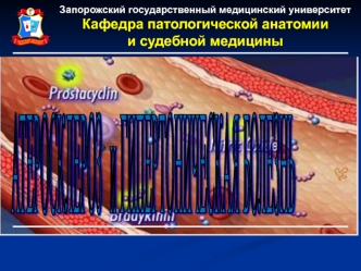 Атеросклероз и гипертоническая болезнь. Морфогенез атеросклероза