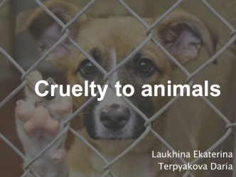 Cruelty to animals